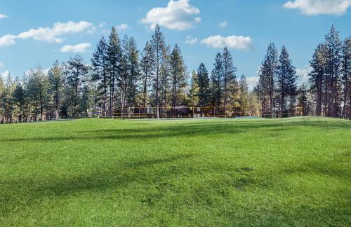 House of Bear - Foto 21