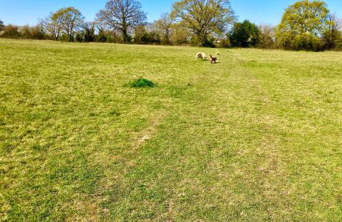 Elkstone House, Hot tub Luxury, Comfortable Home - Foto 46