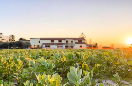 Tenuta Fasanarella - Foto 86