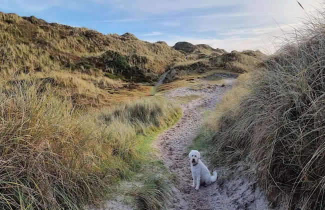 6 Person Holiday Home in Henne-by Traum - Foto 11