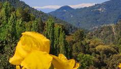 Saluda Alta - Foto 4