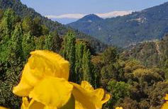 Saluda Alta - Foto 4