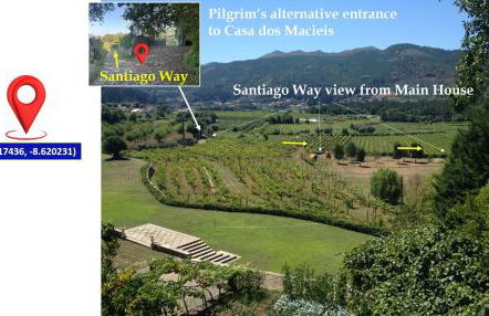 Swimming Pool Bedroom at Casa dos Macieis, Camino Santiago direct access & Optional Agritourism - Foto 6