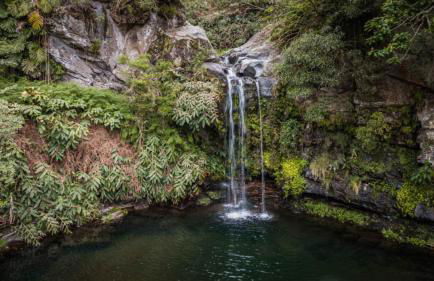 O Refúgio - Photo 31