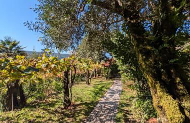 Casa do Valo - Foto 34