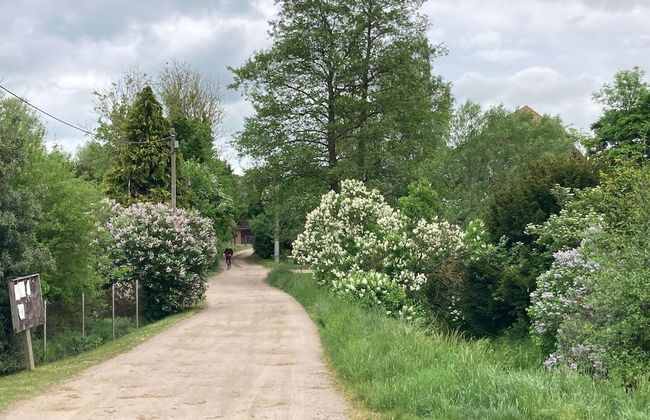 Alt Krassow Lakeside Retreat - Foto 38