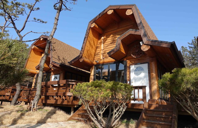 SSE Log Town - Foto 16