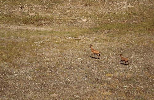 Ski Piau Engaly, plein sud avec vue sur les pistes à 50 m, cœur de station - Foto 30