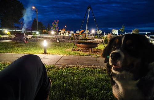 Vigor Horses - Foto 41