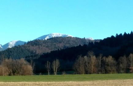 Ferienwohnung Belchenblick - Foto 17