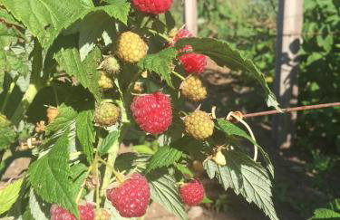 Casa Vita BG - Casa de campo - Foto 45