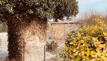 Gite La Lueur du Hable - Baie de Somme Hable d'Ault - Foto 2, Garden