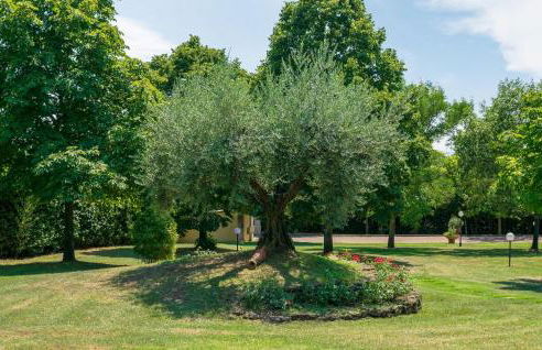 Beautiful Home In Castiglion Fiorentino - Foto 18