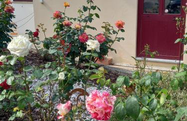 Villa Tranquilla apartment - Foto 38