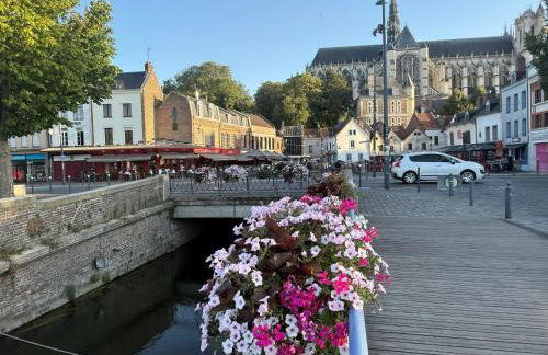 Écrin d'Amiens Résidence historique - Foto 62