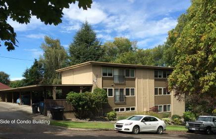 Pacific View, Best Area, 2 Baths, 2 Bedrooms, WD, Jacuzzi Bath, New Carpet, Balcony, View, 925sf - Foto 21