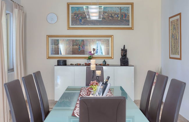 Salamander - Foto 14