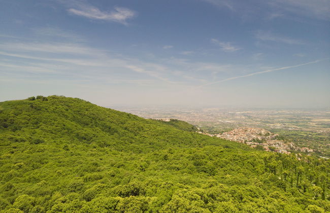 Villa Cicci - Foto 39