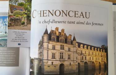 Gîte de charme proche du Zoo Beauval et Châteaux - Photo 4