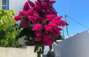 Two sisters - Foto 13