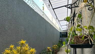 Residencial Davisis - Parada do Jalapão - Foto 5, Garden view