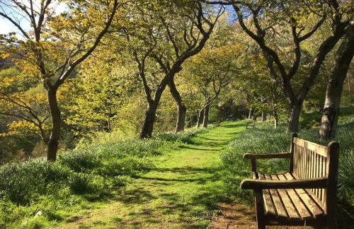 Queen Mary's Chamber - Foto 14