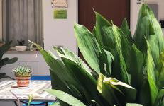 Al Larghetto - Photo 6