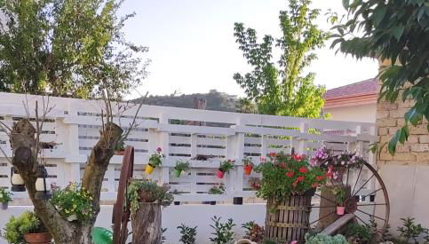 CASE DI BACCO - Foto 3, Garden