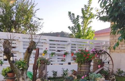 CASE DI BACCO - Foto 3