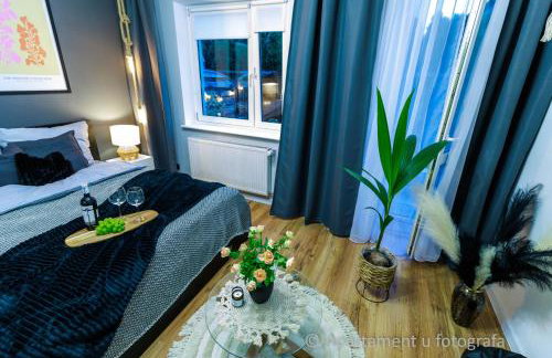 Apartament u fotografa Luboń - Poznań przy A2 - Foto 33