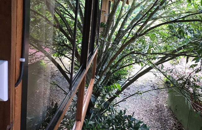 Cabañas del Lago - Foto 72