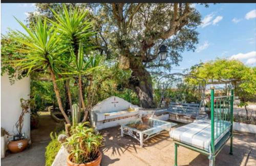 Casa Melissa - Foto 23