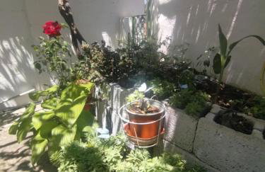 Trikeri traditional cozy house - Photo 30