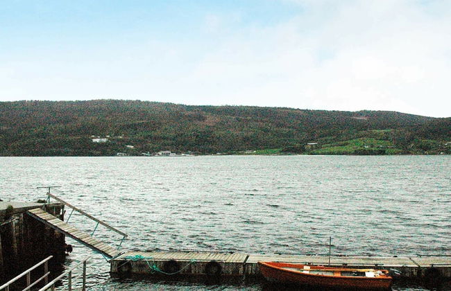 4 Person Holiday Home in Surna - Foto 8