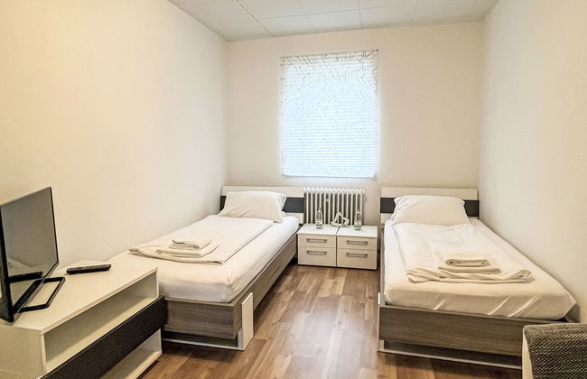 Zum munteren Eichhörnchen - Foto 18