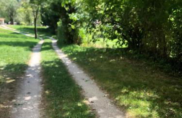 Casa Gugjet Cuore Carnico - appartamento Zoncolan - giardino - no scale - parcheggio e 4 zampe gratis - Foto 8