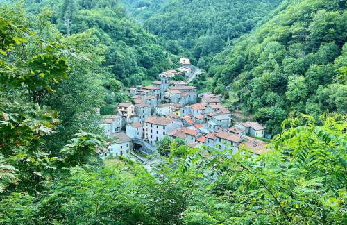 Casa Alamanda - Foto 35