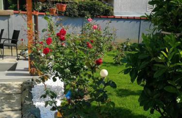 Apartman Suzana - Photo 22