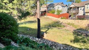 Peace in the Pines - Foto 5