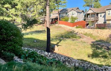 Peace in the Pines - Foto 5