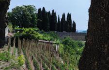 Villa Allegra - Foto 54