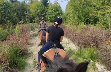 Domek Ranczo Podkówka - Foto 2