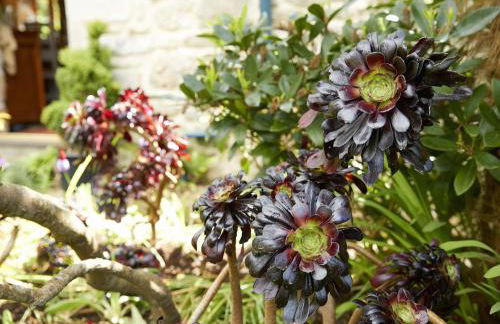 Tregadjack Barn - Foto 21