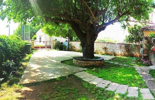 Apartments Lex - Rovinj - Istria - Foto 3