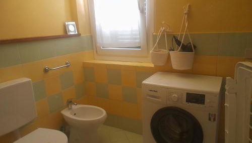 Fico d'india - Foto 5