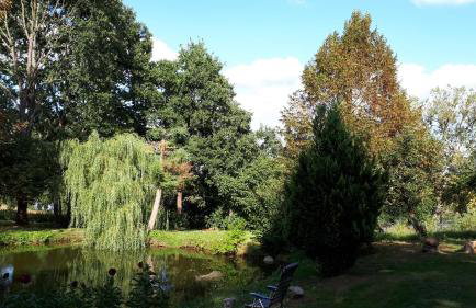 Łabądkowo - Foto 9