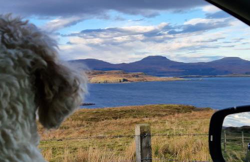 Ornum Self Catering Cottage - Foto 32