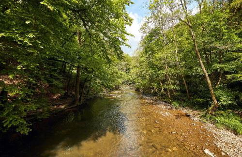 Ferienwohnung "Alte Pleiner Mühle" - Foto 14