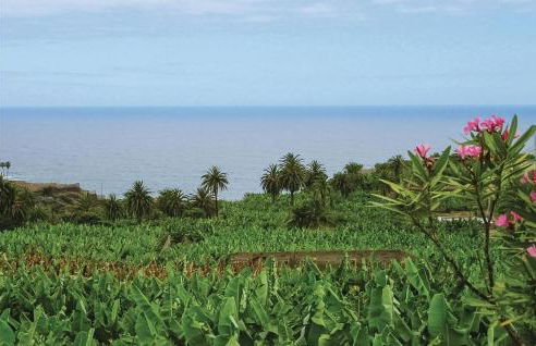 Casa Los Pinos - Foto 22