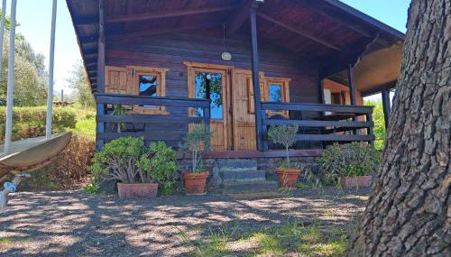 Agriturismo Kikajon - Foto 1, Garden view